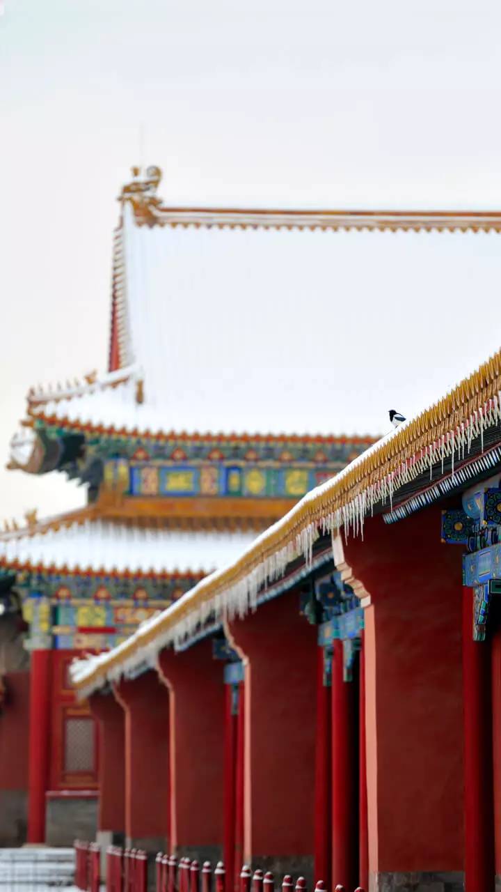 最美中国古建筑：紫禁城下雪了！