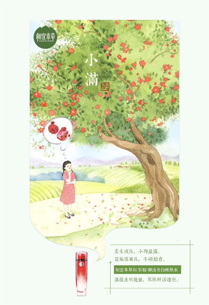 相宜本草诠释内在力、外在美24节气插画精美图集