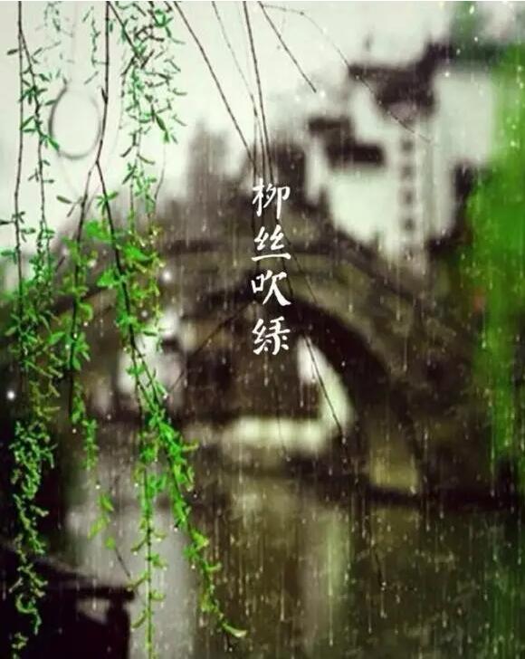 雨水：天生一水，散而为雨