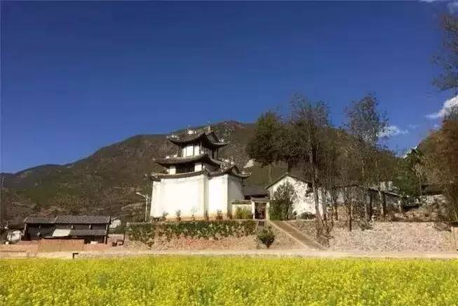 庭院设计：租一个院子把生活过成诗