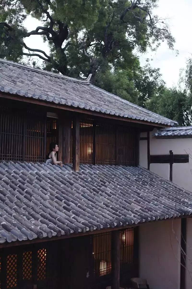 庭院设计：租一个院子把生活过成诗