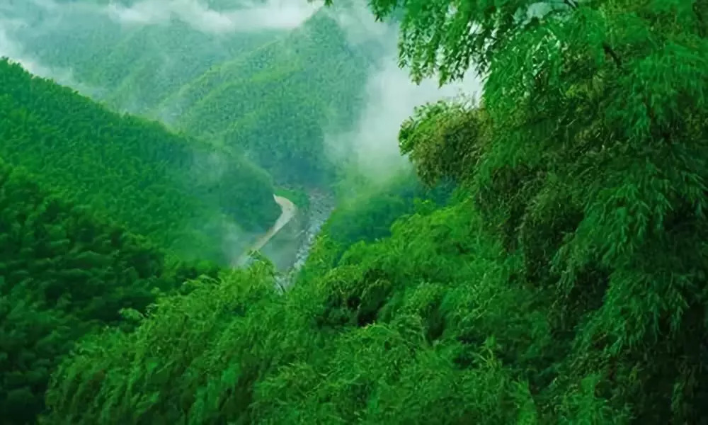 安吉·仁里息心庐，拥泉而居枕山而眠!