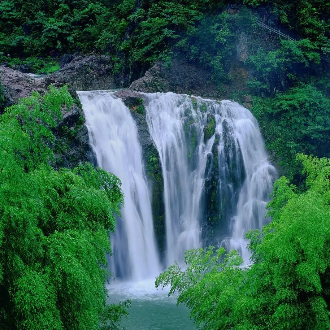 温州·外水良艺境，一家温州最美民宿之一
