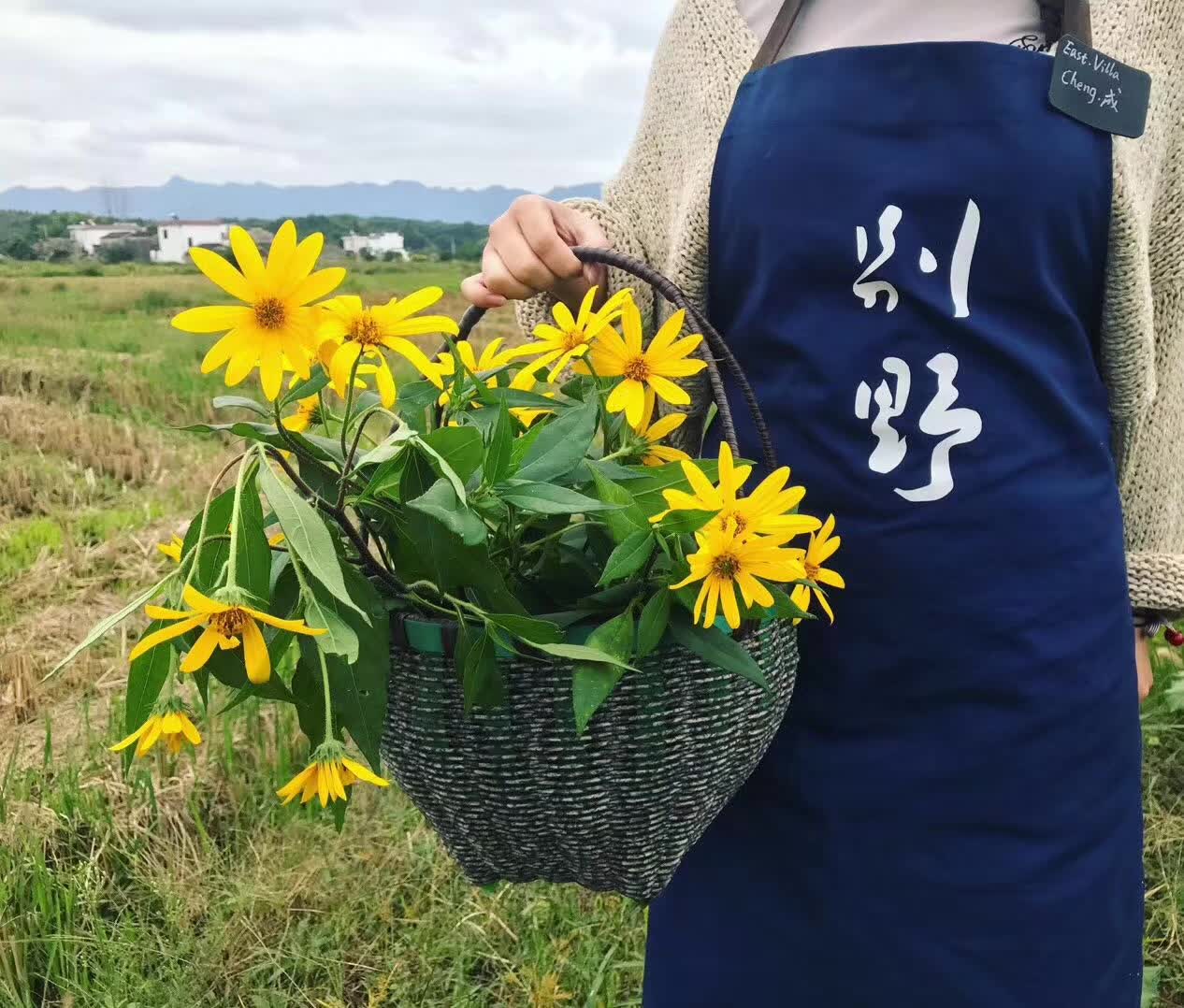 黄山·东田别野，日出而作日落而息的时光野