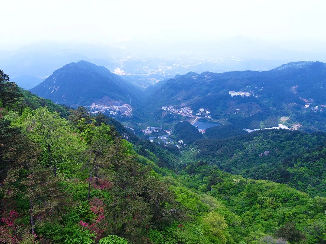 麻城·云梦如故，山里的房子就该有山里的味道