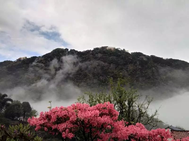 九华山·开元美途，置身俗尘外身心天地宽