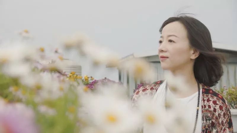 大理·沐林苑，择一处小院赏四季明媚