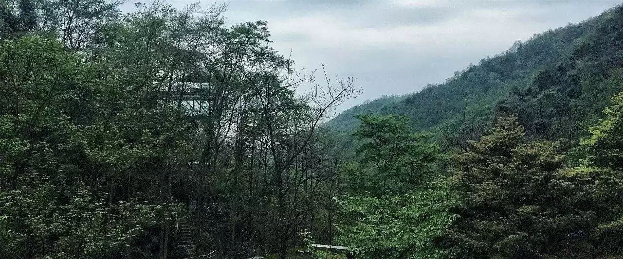 山中·隐宿：三款不错的民宿设计只为与你相遇