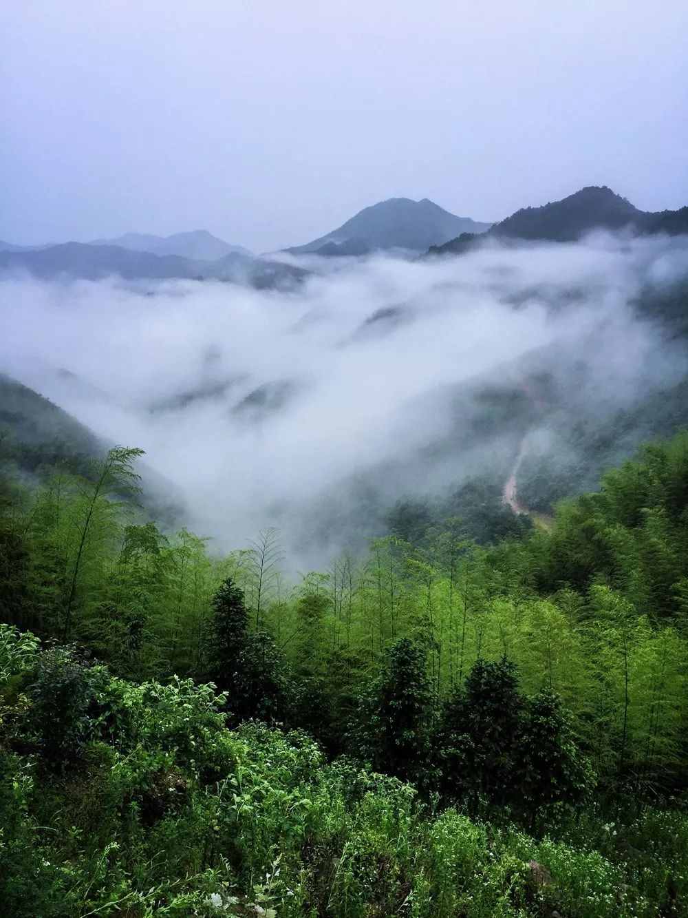 过云山居·长丘田，躺在浴缸里摘朵云