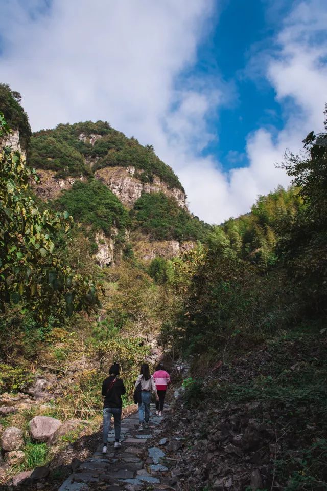 丽水·曼山居，依山而居便不知人间是何夕