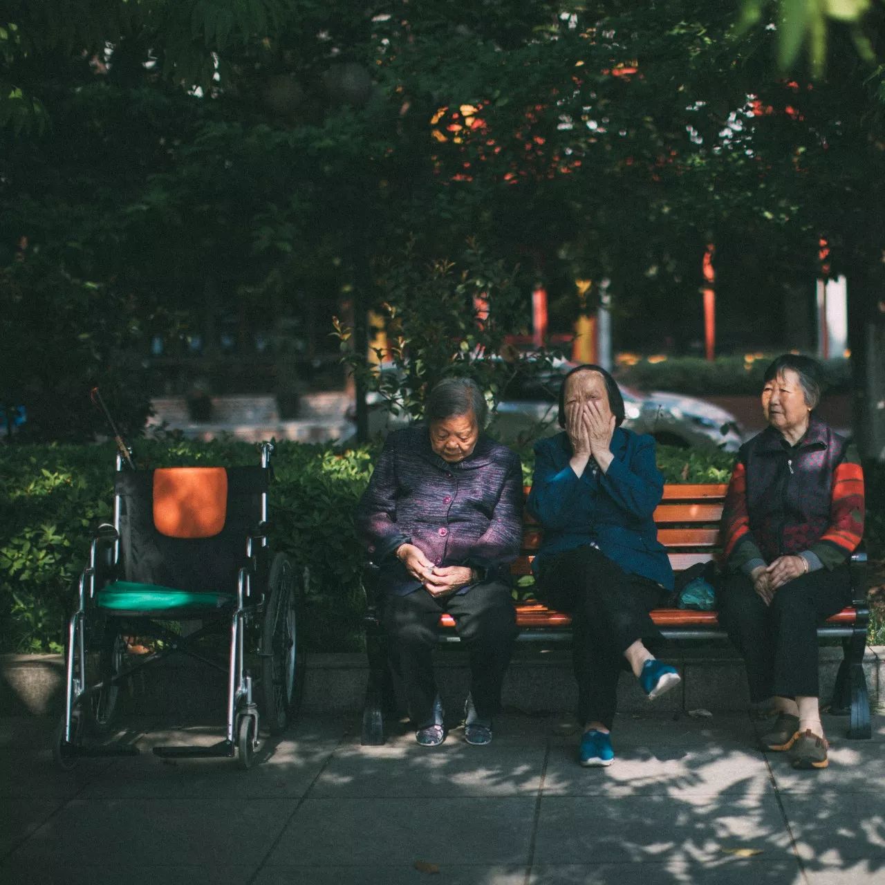 莫干山·三秋美宿，一日不见三秋盼兮