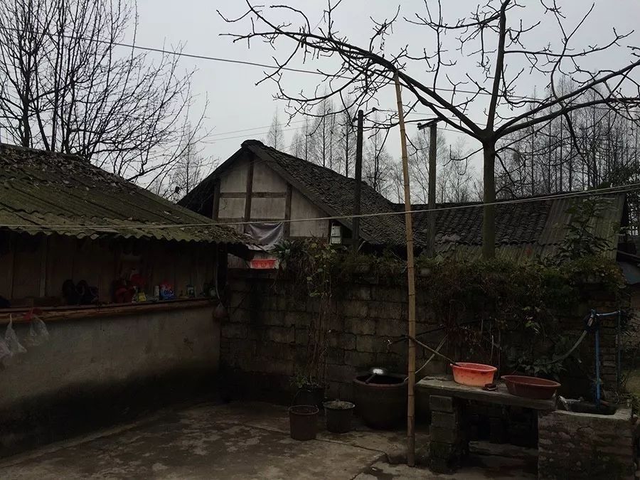 青城山·路之青城，山沟里的猪圈民宿