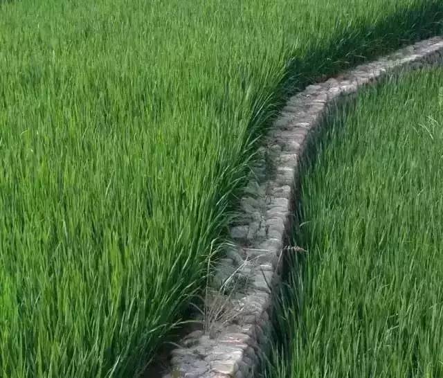 九华山德懋堂，九华山间打坐冥想清凉入心