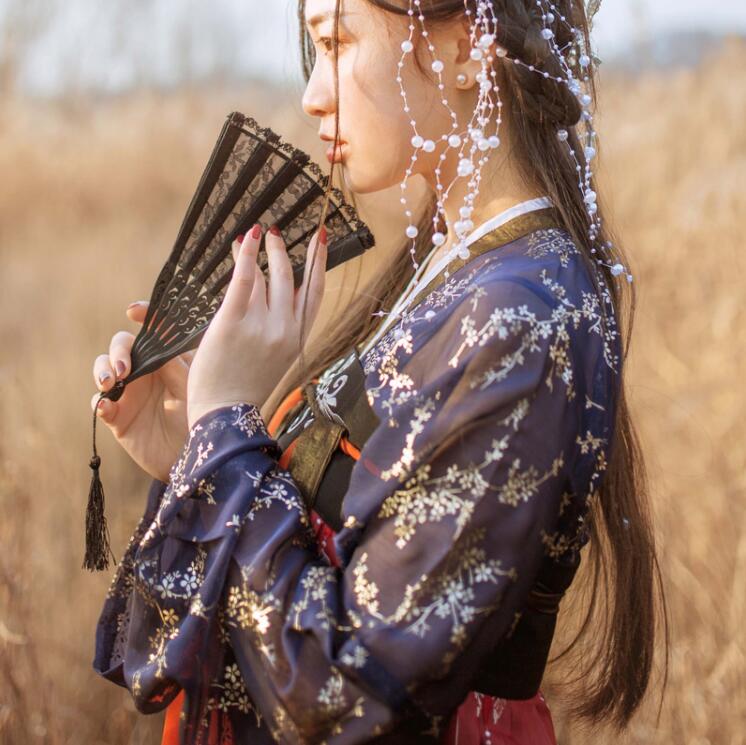 传统齐胸襦裙，锦绣烫金刺绣汉服图片