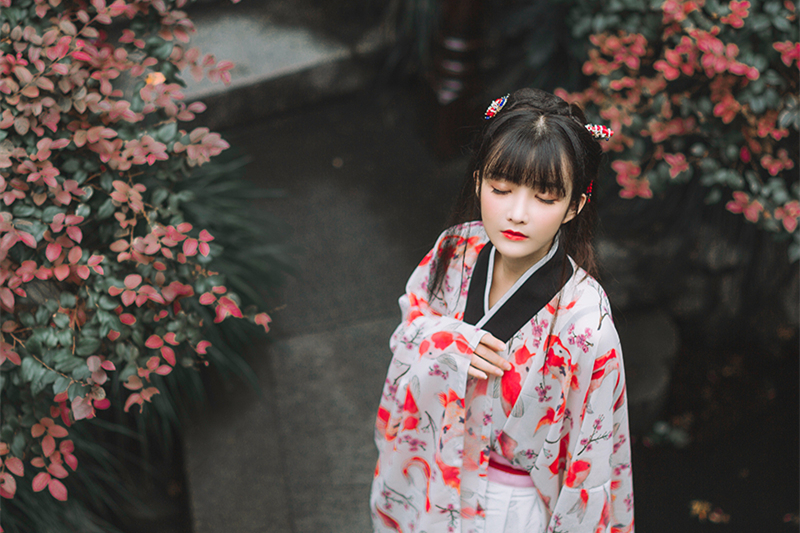 锦鲤汉服交领广袖一片式穿孔襦裙