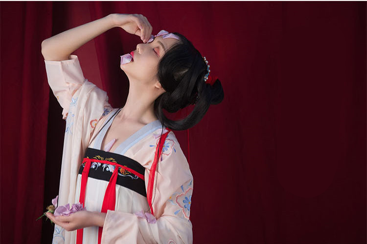 汉服女装齐胸襦裙大袖衫绣花
