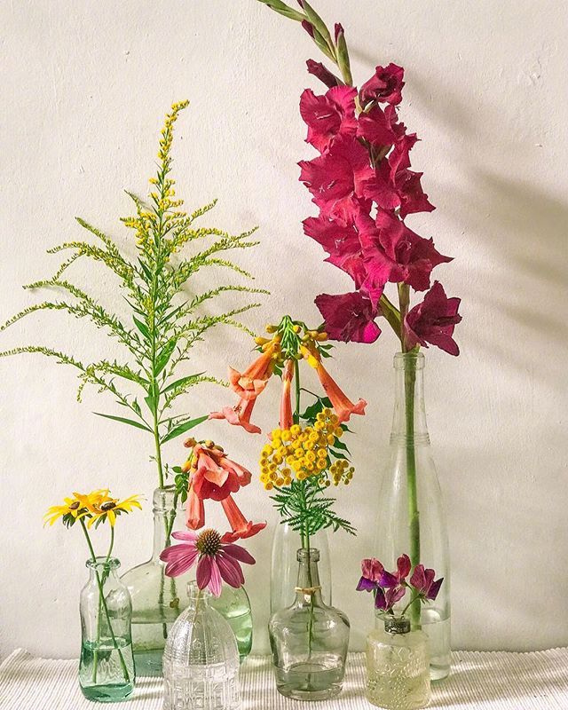 小清新插花艺术欣赏，生活如此美好