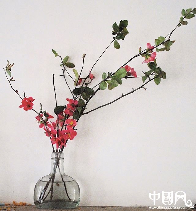 小清新插花艺术欣赏，生活如此美好
