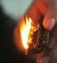 如何辨别真假核桃？五招辨别真假的方法