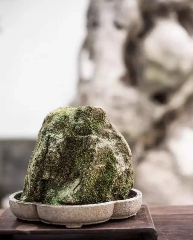 案头之上的奇石