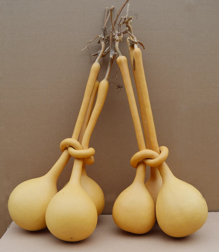 惊呆了，造型独特的葫芦工艺品