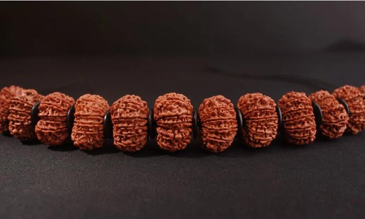 十三瓣金刚菩提子（珍藏精品）