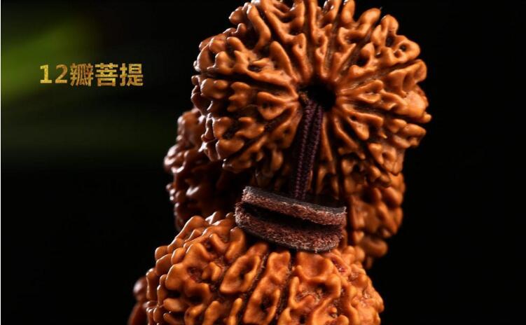 十二瓣尼泊尔大金刚菩提子手串