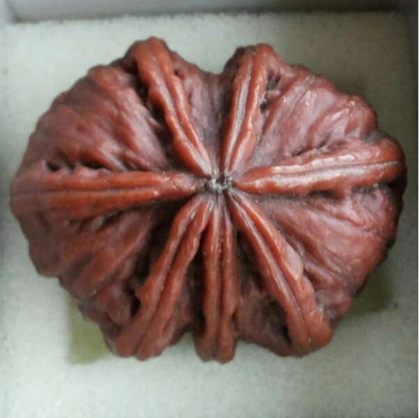 七星高照天龙八部文玩核桃