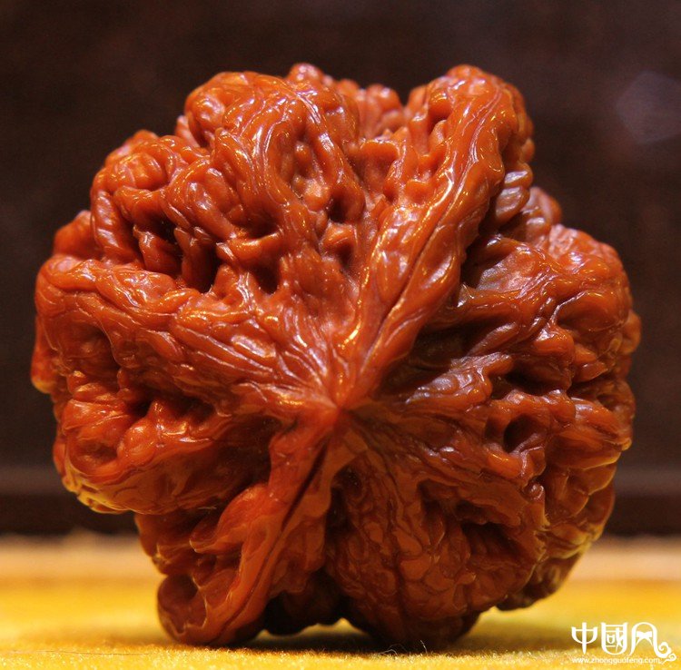 纯野生大粗筋狮子头核桃（珍品收藏级）