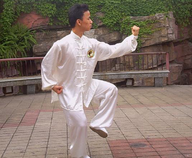 中华武术：陈氏太极拳