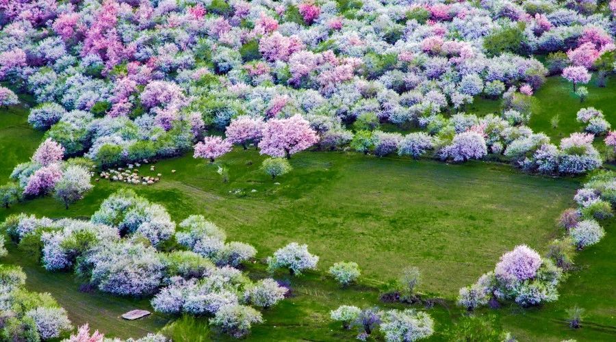 最美人间四月，诗情画意不可错失的风景推荐