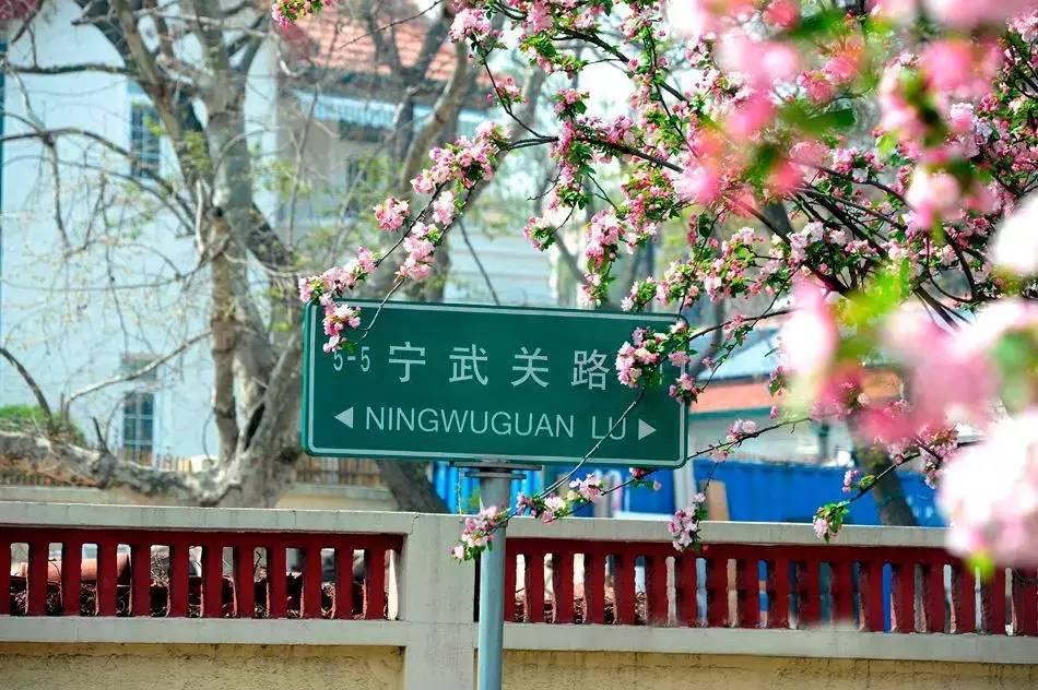 清明小长假,去这9个绝美的地方踏青
