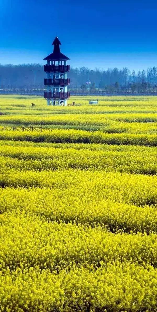 清明小长假,去这9个绝美的地方踏青