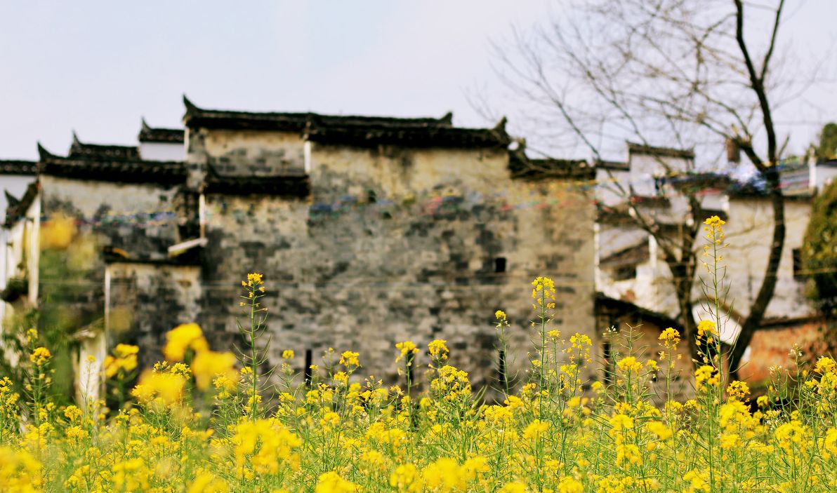梦回西江,南昌,庐山,婺源