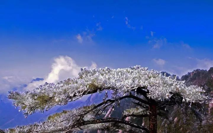 雪后黄山风景宛如人间仙境，舞一曲雪中霓裳羽