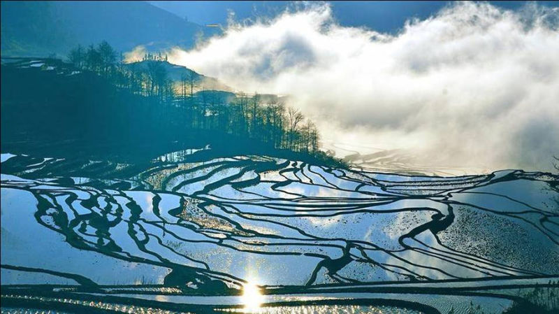 蓝色的元阳梯田风光摄影