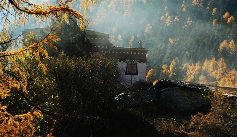 山中寺庙林间美景