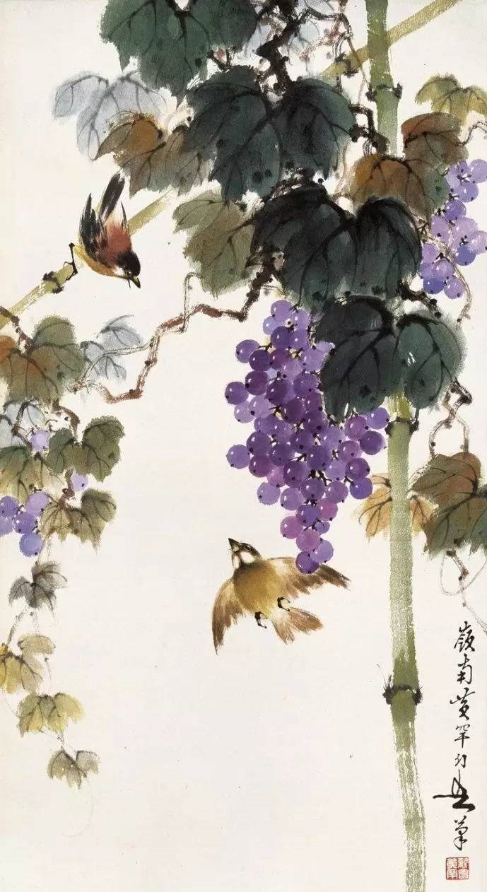 美人如葡萄，秀美如国画！