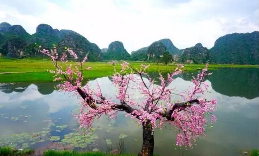 《三生三世十里桃花》的外景拍摄地！