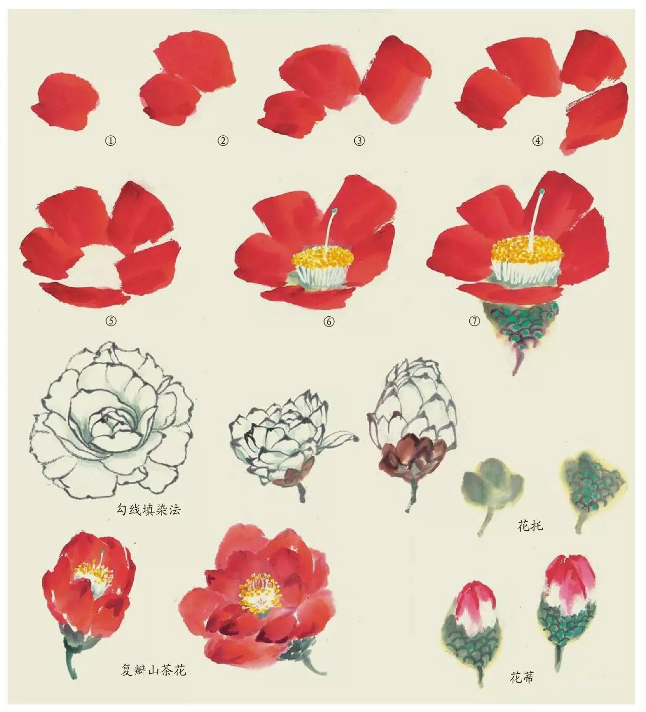国画技法：超详细的国画各种花卉画法大全!