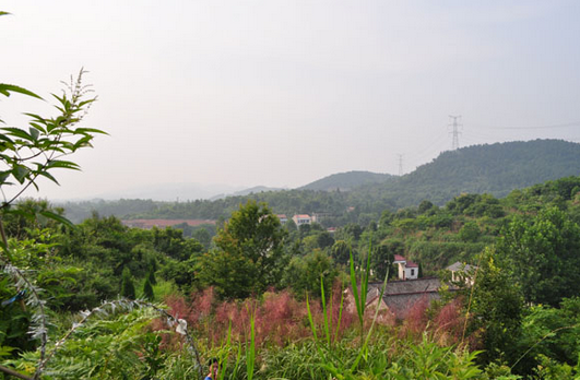 林彪祖坟风水好吗?揭秘林彪祖坟风水