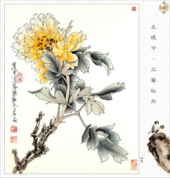 王道中工笔牡丹作品欣赏