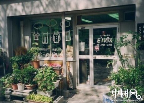 店铺绿植摆放风水