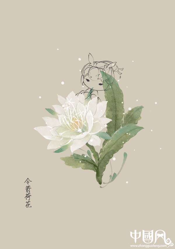 一组花与仙子古风图片，清新淡雅的古风图集