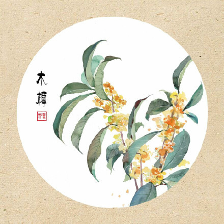 清新古风花卉插画，可作头像的花卉插画图片