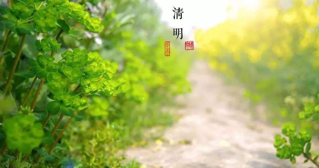 唯美古风句子：清明古诗38首!
