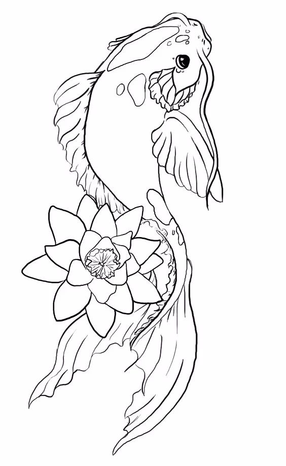 9幅白描画《鱼》：勾勒活灵活线的鱼