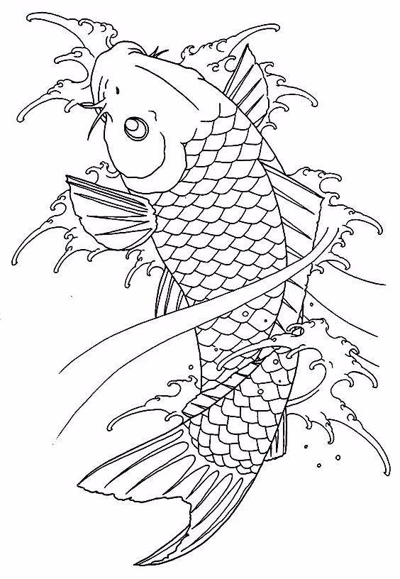 9幅白描画《鱼》：勾勒活灵活线的鱼