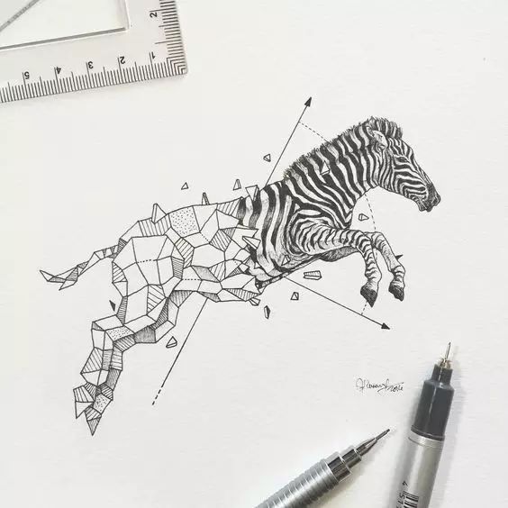 惊叹的动物手绘插画：学霸与艺术的完美融合