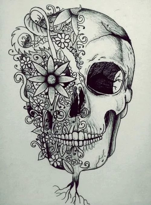 一组手绘骷髅头插画，犹如带刺的玫瑰！